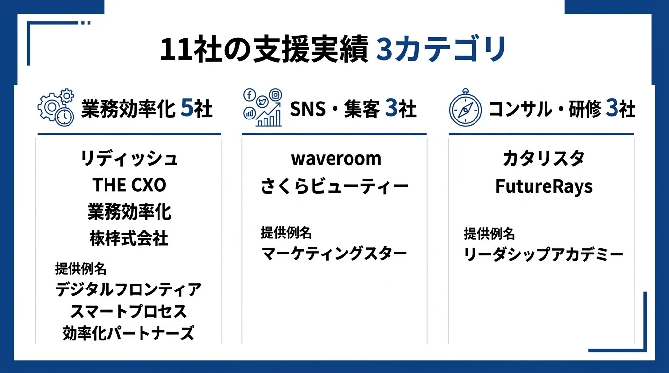 11社の支援実績 3カテゴリ